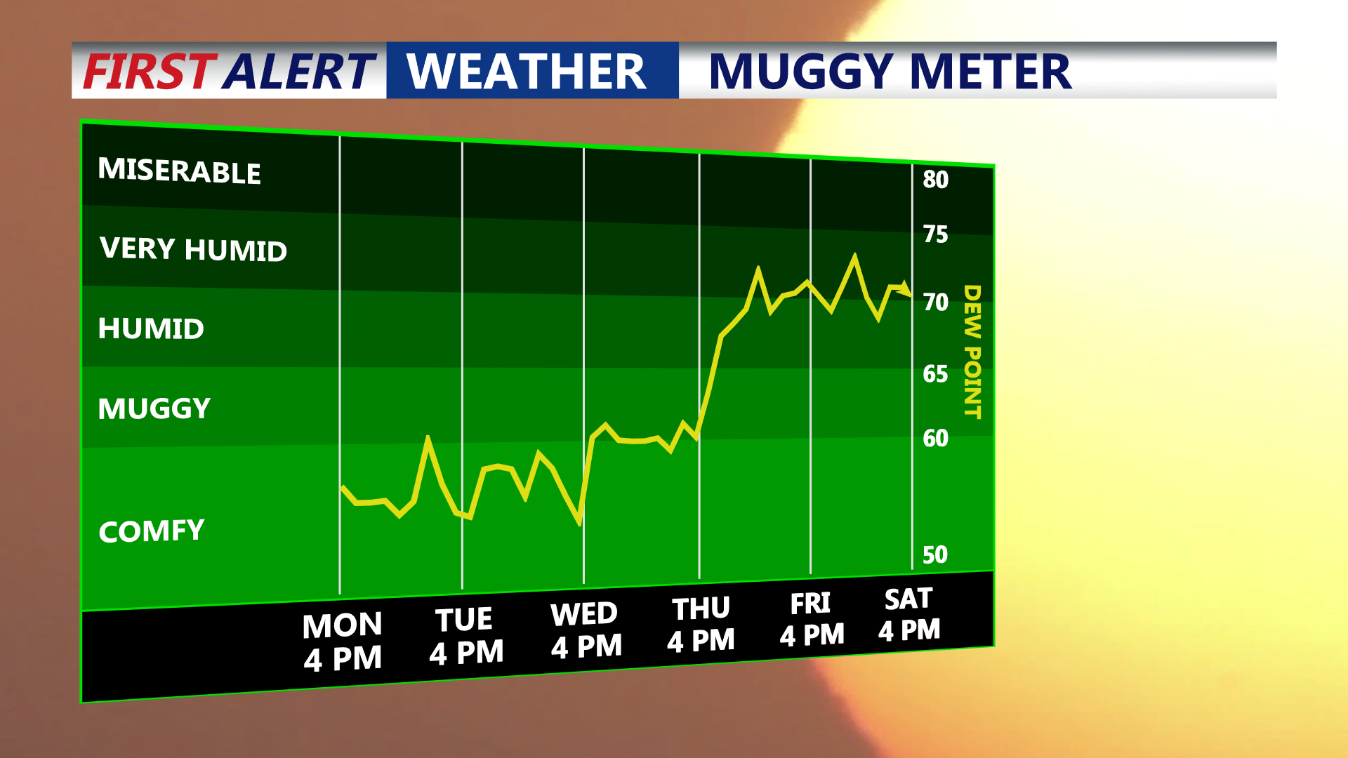 MUGGY METER